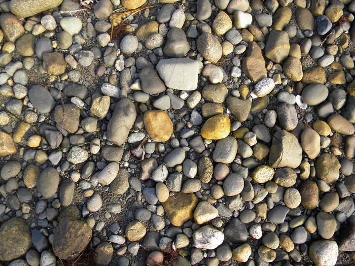 Diverse Beach Rocks